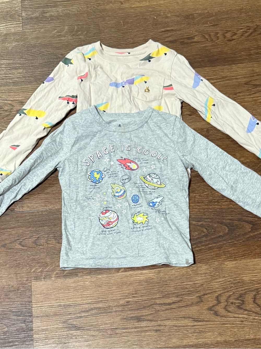 GAP Long-Sleeve Tees in Gray Space Graphic & Cream Bird Print